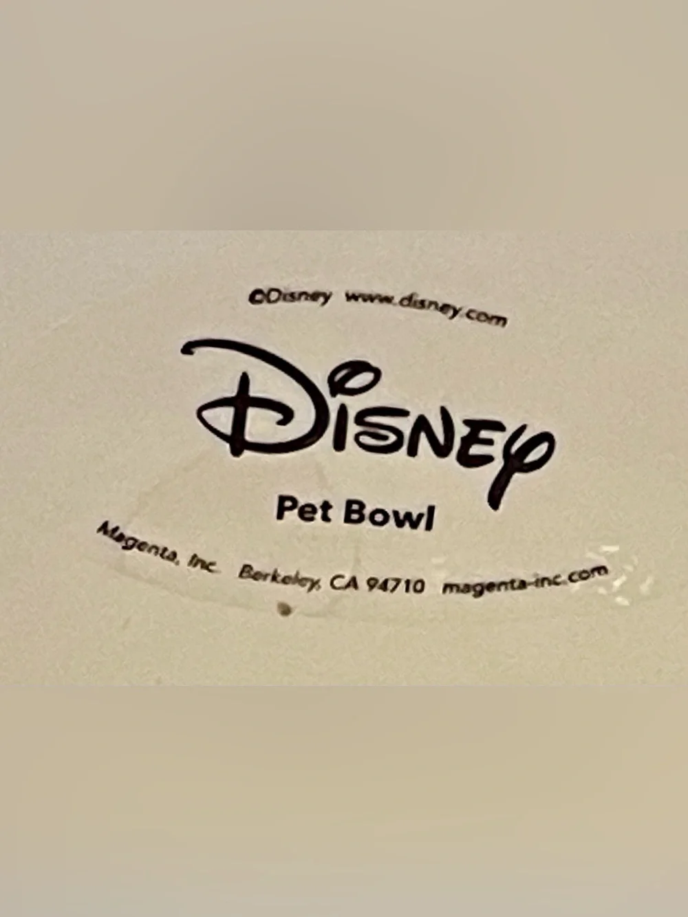 Rae Dunn Disney Winnie the Pooh & Friends White Pet Bowl with Black etched New!